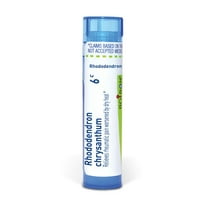 Boiron Rhododendron Chrysanthum 6C, Homeopathic Medicine for Rheumatic Pain Worsened By Dry Heat, 80 Pellets