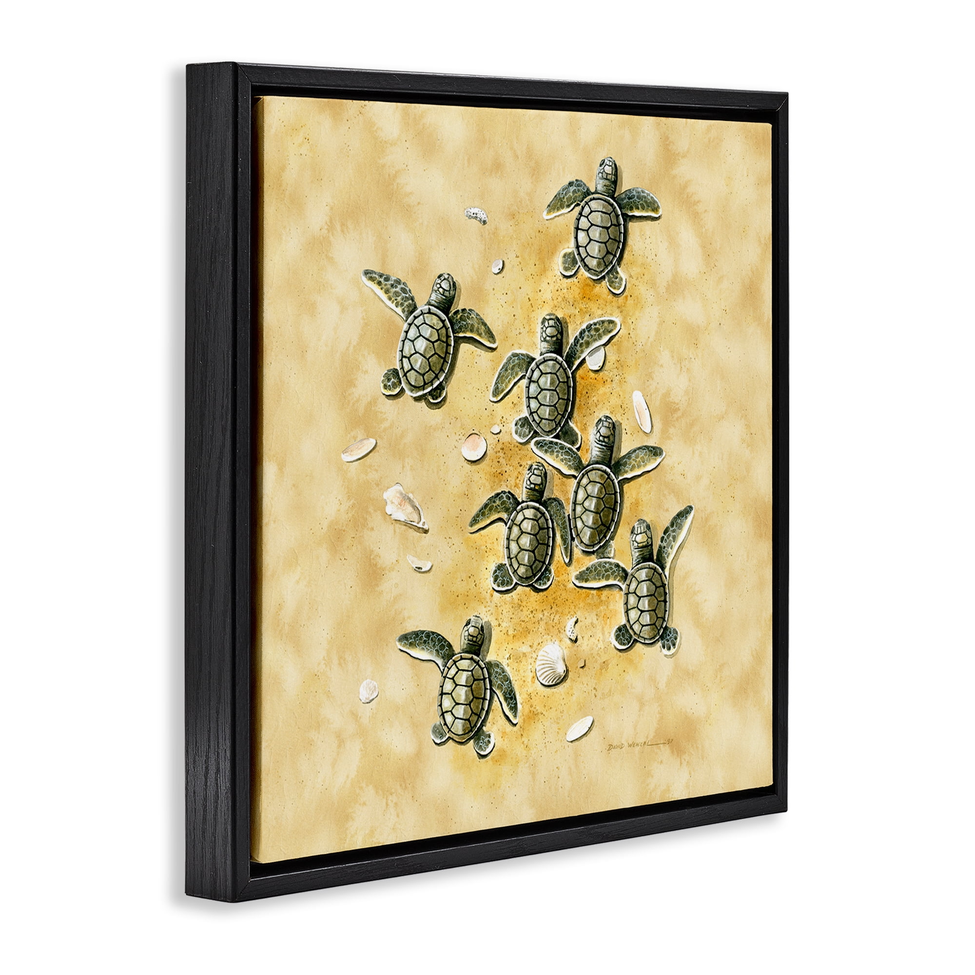 Stupell Industries Baby Sea Turtles Shore Animals Painting Black Floater Framed Canvas Art Print Wall Art, 25 x 25