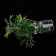 thumbnail image 5 of 1/12 Miniatura Resina Maceta Plantas Casa de Habitación Jardín Decoración Accesorio N.  degree 2, 5 of 7