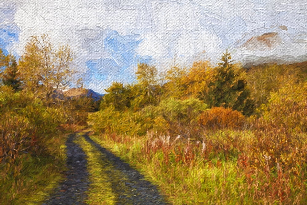 Autumn Scenic Oil P
