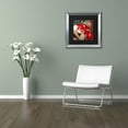 thumbnail image 4 of Trademark Fine Art "China Red I" Canvas Art by Color Bakery Black Matte, Silver Frame, 4 of 4