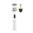 thumbnail image 1 of Desagüe desplegable inteligente InnoVegg Plug Stopper, cromado, 1 of 7