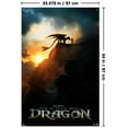 thumbnail image 3 of Dragons (2025) - Fiche d'information, 3 of 3