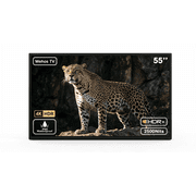 Apexscnview 55" Smart Outdoor TV, 4K Uhd 2500nits with Dobly Atmos, Google TV with Voice remote, IP65 Waterproof,Google cast,Patial Sun