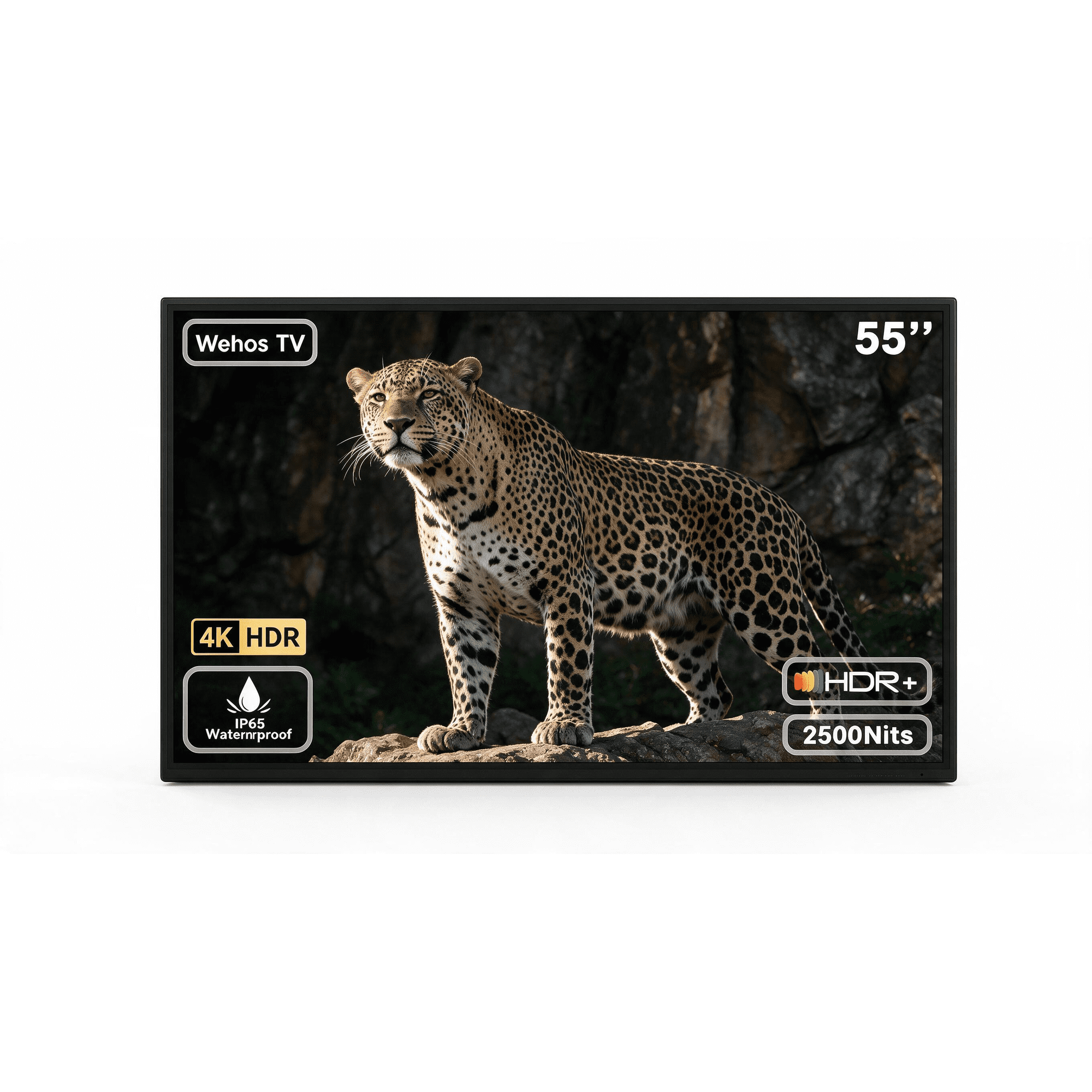 Apexscnview 55-Inch 4K UHD Outdoor Smart TV, 2500-Nit, Google TV, Voice Remote, IP65 Waterproof