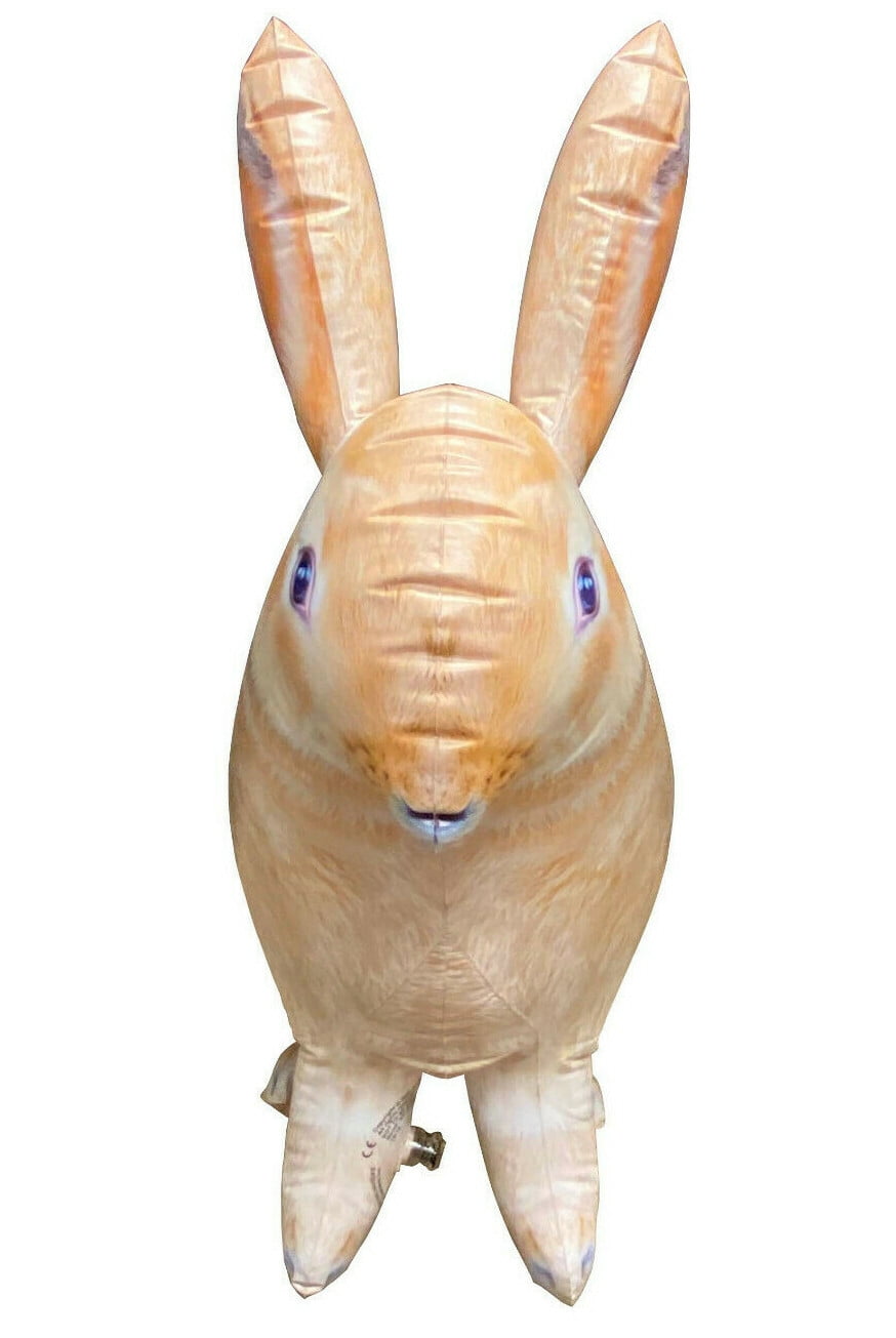 Jet Creations 2 pc Bunny Rabbit Inflatable Birthday Party Stuffed Animal Toys
