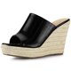 thumbnail image 1 of Sandalias de Cuña Plataforma Tacón de Cuña Allegra K Negro 41, 1 of 7