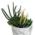 thumbnail image 3 of Bornbridge Artificial Succulent Plants in Planter - Mini Succulent Plants - Mica, 3 of 5