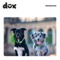 thumbnail image 4 of DDOXX Dog Collar Nylon, Adjustable | Many Colors & Sizes | for Small, Medium & Large Dogs, 4 of 8
