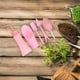 thumbnail image 2 of 1 juego de mini herramientas para suculentas, juego de herramientas de jardinería, cultivador, herramientas de trasplante de suculentas para jardinería., 2 of 6