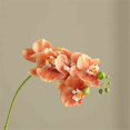 thumbnail image 3 of Single Orange Phalaenopsis Simulation Flower Single Fake Flower Arrangement with Ceramic Vase for Living Room, 3 of 4