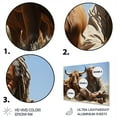 thumbnail image 3 of Designart "Tribes Himba African Nomadic II" African Tribes Metal Wall Art Prints, 3 of 5
