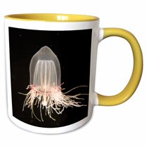 3drose, Giant Bell Jelly, Monterey Bay Aquarium, California - Us05 Jgs0136 - Jim Goldstein, 11oz Two-tone Yellow Mug