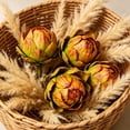 thumbnail image 6 of Artificial Artichoke Decor, Faux Vegetable Ornament, Realistic Kitchen Accent, Displays Layered Gradient Petals and Keeps Shape Year Round for Kitchen Table, Floral Arrangement, and Store Display., 6 of 6