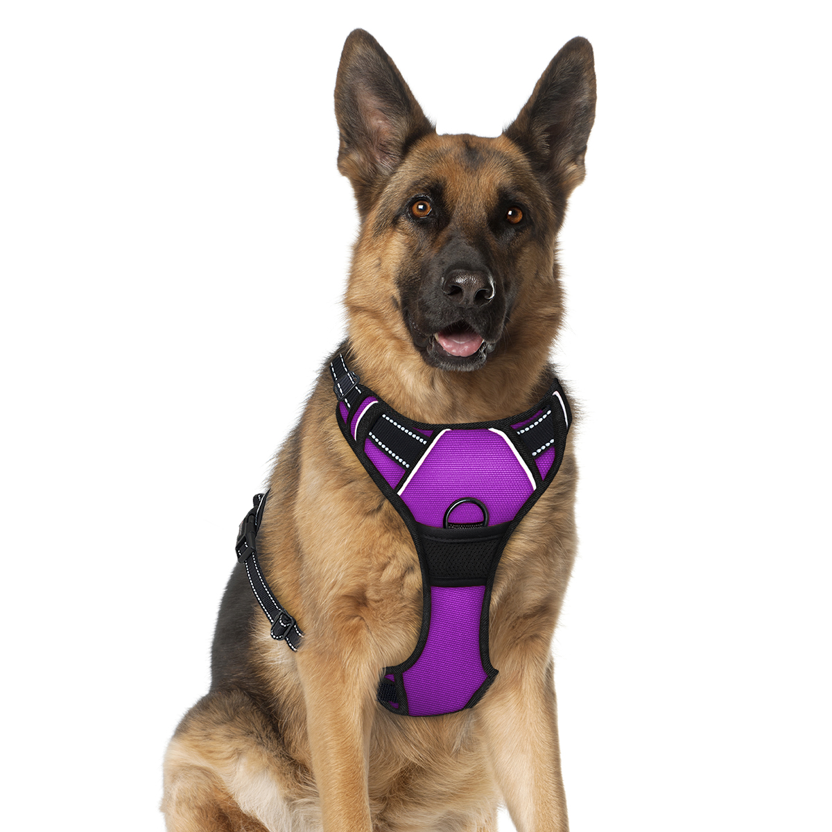 What Is The Best Leash For A German Shepherd