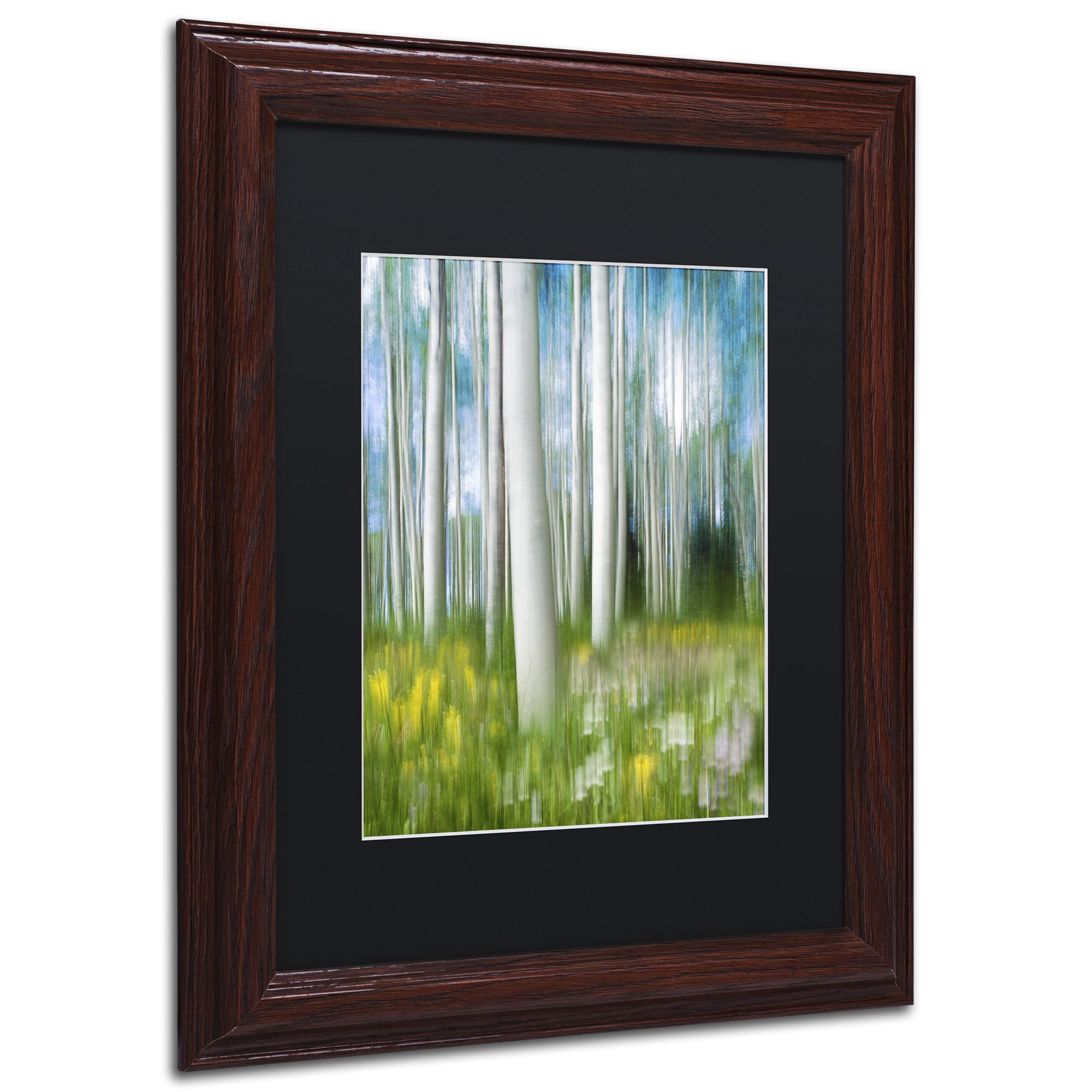 "Aspen Impression" Canvas Art by Michael Blanchette Photography Black Matte, Wood Frame