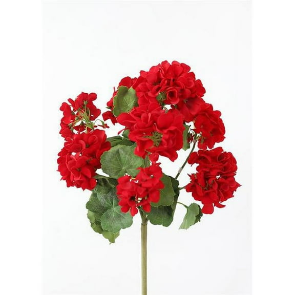 AllState Floral FBG040-RE 18 in. UV Protected Geranium Bush - Red - Pack of 12