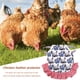 thumbnail image 2 of Wdftyju Delantal de sillín ajustable para aves de corral, vestido, patrón de gallo, Protector de alas traseras de gallina Wdftyju 5sk0he1zz1up2wn4D04, 2 of 8