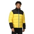 thumbnail image 4 of Regatta Professional Mens Insulated Puffer Jacket, 4 of 4