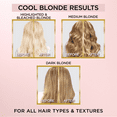 thumbnail image 6 of L'Oreal Paris Le Color Gloss One Step In-Shower Toning Gloss Hair Color, Cool Blonde, 4 fl oz, 6 of 12