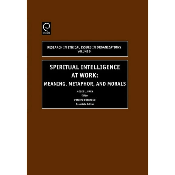Research in Ethical Issues in Organizati Spiritual Intelligence at Work: Meaning, Metaphor, and Morals, Book 5, (Hardcover)