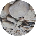thumbnail image 1 of Ahgly Company Indoor Round Patterned Pale Silver Gray Novelty Area Rugs, 3' Round, 1 of 6