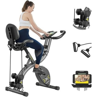 body rider upright fan bike