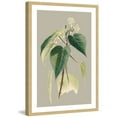 thumbnail image 2 of Marmont Hill "Botanical Cabinet II" Framed Painting Print, 2 of 6