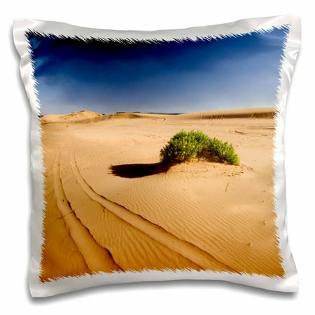 3dRose ATV Tracks, Coral Pink Sand Dunes State Park, Utah - US45 RSC0005 - Roddy Scheer, Pillow Case, 16 by 16-inch