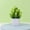 Green, variant on Beautynvta Artificial Pot Flowers, Fake Potted Plants Plastic Faux Flowers Mini Potted Plants for Wedding Home Desk Tabletop Outdoor Office Kitchen Decor, Wine