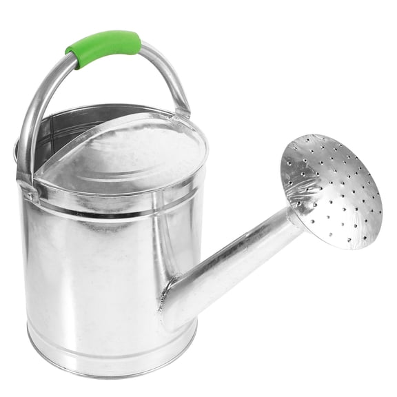 LEORX Indoor Plant Watering Can Plated Silver Stainless Steel with Long Handle