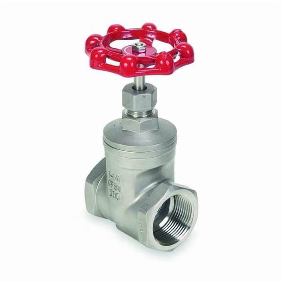 Choice Zoro 4VMW5 2 in. 316 Stainless Steel Gate Valve - Class 200