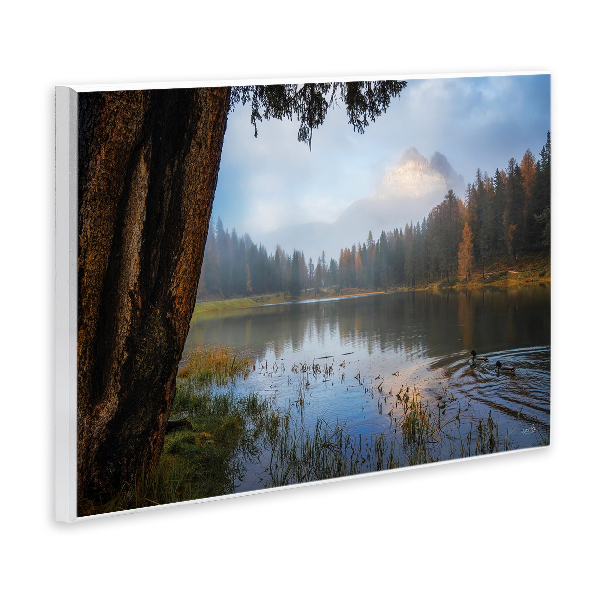 Stupell Industries Autumn Forest Reflections Wall Plaque Art, design by Martin Podt
