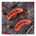 thumbnail image 4 of Salchicha Tangamanga rosten wurst 500 g, 4 of 4