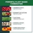 thumbnail image 3 of Cranberry Urinary Tract Support Drops for Cats and Dogs – Kidney & Bladder Wellness Supplement Drops - Supports Urinary Comfort & Normal Urine Flow, 3 of 7
