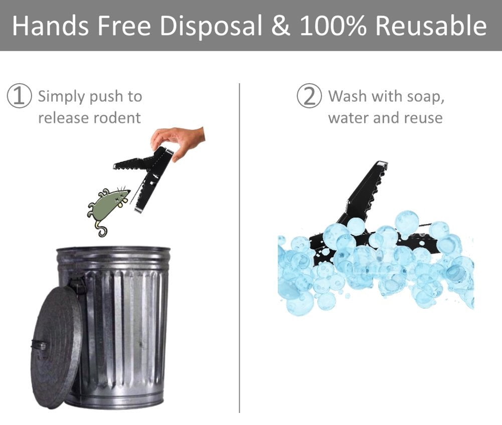 Large Powerful Rat Traps (24 Pack) - Kills Instantly with Powerful Steel Spring - Setup in Seconds - Wash & Reuse Over & Over - Hands Free Disposal - Rat Control without Harmful Poisons or Chemicals