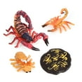 thumbnail image 1 of 1 Set Life Cycle Toy Household Simple Simulation Model Educational Toys Exquisite Interesting Scorpion Models for Home School Black Red, 1 of 10