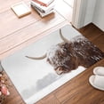 thumbnail image 5 of Disketp Scottish Highland Cow In The Snow Mat For Front Door Outside - Doormat Outdoor Entrance - Welcome Mats Outdoor,Outside Entry And Outdoor Entrance 16''X24'', 5 of 9