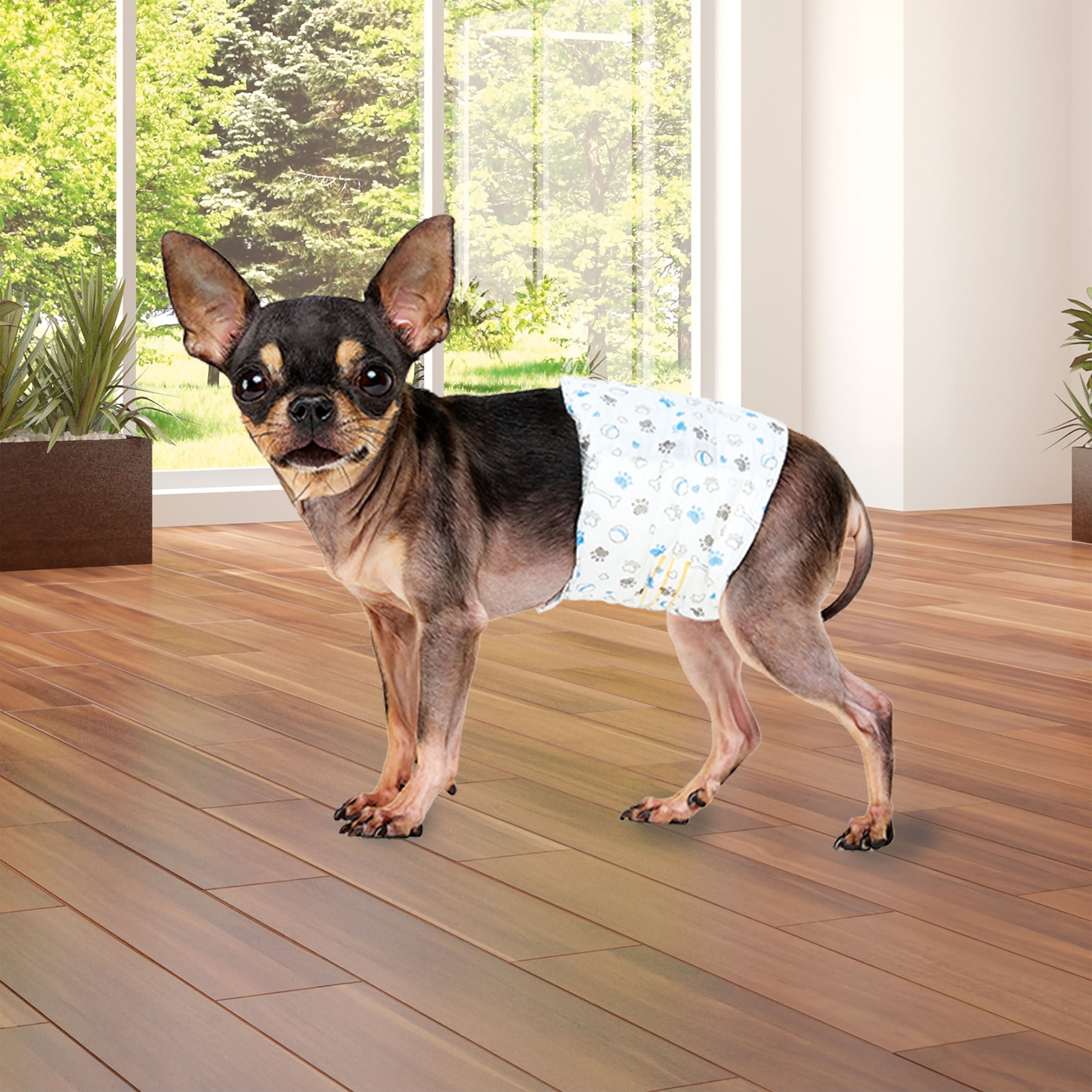 (6 pack) Vibrant Life Disposable Dog Wraps for Male Dogs, X-Small, 12 Count
