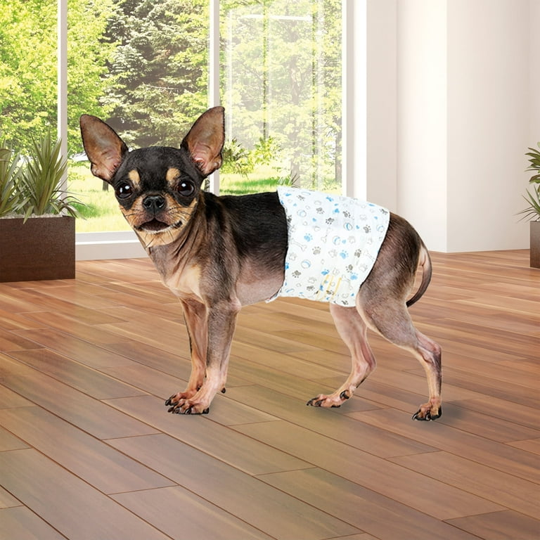 Vibrant Life Disposable Dog Wraps for Male Dogs, X-Small, 12 Count