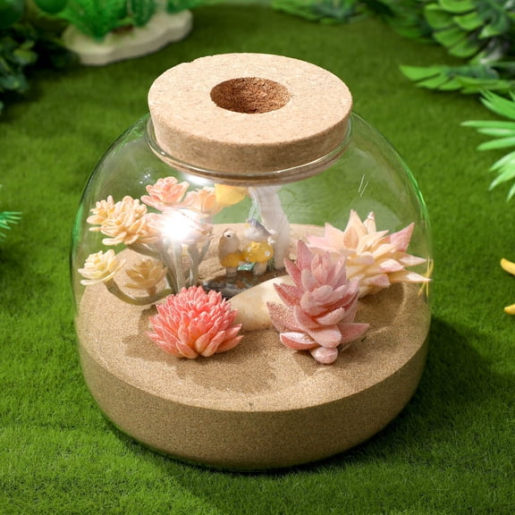 Monyance glass jar Glass Terrarium Jar with Wood Stopper Micro Landscape Container Hydroponic Plants Terrarium(5.91X5.91X5.31Inches)