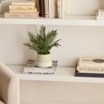 thumbnail image 4 of Bouclair Light Beige Artificial Fern in Ceramic Pot, 4 of 4