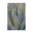 thumbnail image 2 of Gango Home Decor Contemporary California Agave I by Kathy Mahan (Printed on Paper); One 24x36in Fine Art Paper Giclee Print, 2 of 4