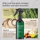 thumbnail image 3 of Spray para el crecimiento del cabello Aemerry Rosemary con agua de arroz y aceite de batana, 3 of 8