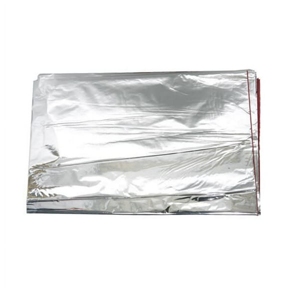 JAM Paper Gift Tissue Paper, Silver Mylar, 1000 Sheets/Ream