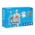 thumbnail image 4 of HJJLRH Clear Human Body Structure Model, 3D Human Anatomy Model Kit with Removable Organs, Portable Skeleton Model Toy for Anatomy Class, Science Kit for Kids Ages 6+, 4 of 9