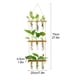 thumbnail image 5 of Tubos de Propagación de Plantas de 3 Niveles Mini Tubo de Ensayo Florero Maceta de Vidrio para Corte de Plantas Hidropónicas Hogar Jardín Decoración de Oficina Regalo ANGGREK  Otros, 5 of 8
