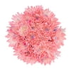 Fresh-Cut Cupcake Poms Mother's Day Flower Bunch, Minimum 6 Stems, Colors Vary