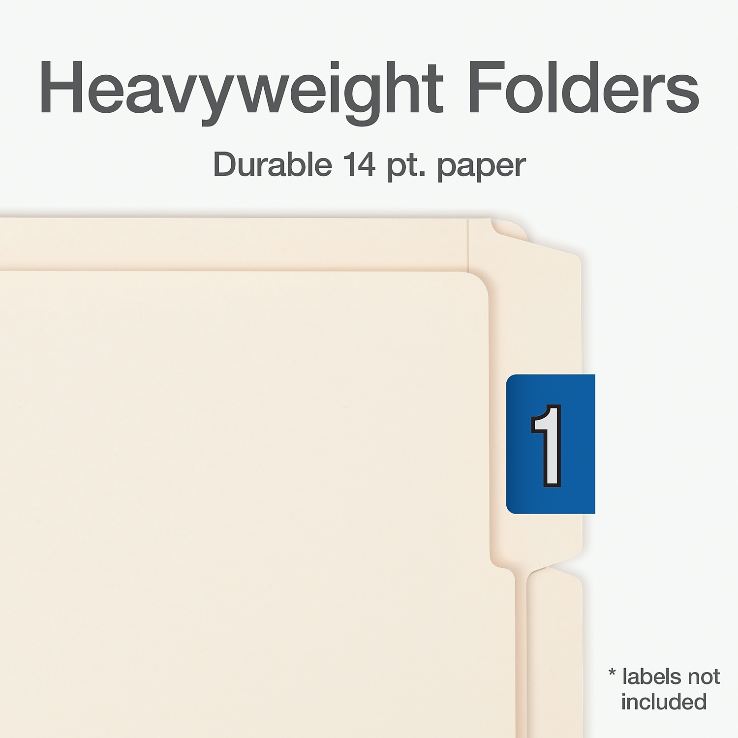 Pendaflex End Tab File Folder 1/3-Cut Tab Assorted Letter Size Manila 100/Box(1007003)