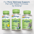 thumbnail image 6 of Solaray Mullein Leaf 330 mg - Soothing Herbal Support - Mullein Capsules Traditionally Used to Support Health and Wellness - Vegan, Non-GMO, Lab Verified, 60-Day Guarantee, 100 Servings, 100 VegCaps, 6 of 6